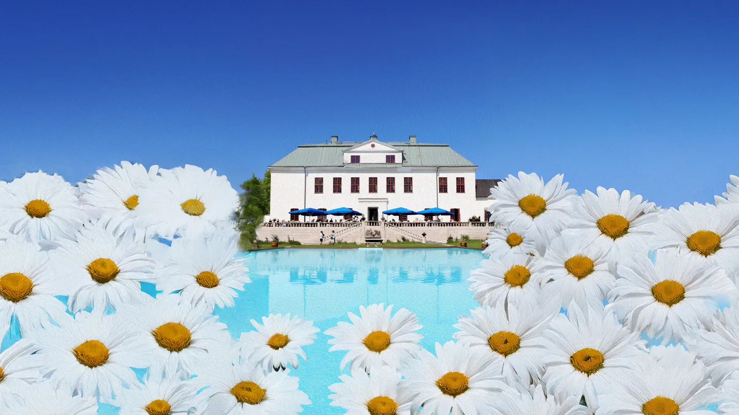 Midsommar på Häringe Slott